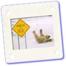 Pay Attention-2.jpg